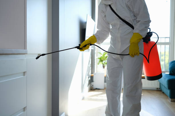 Best Residential Mold Removal  in Fruitridge Pocket, CA