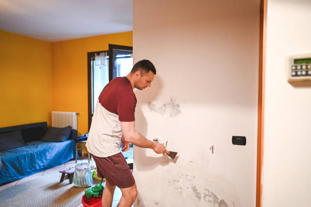 Best Mold Damage Repair  in Fruitridge Pocket, CA